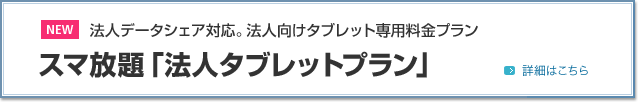 NEW 法人データシェア対応。法人向けタブレット専用料金プラン スマ放題「法人タブレットプラン」