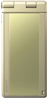 921P