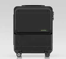 >PROTECA MAXPASS H Smart（プロテカ・マックスパス・エイチ・スマート）（仮名）