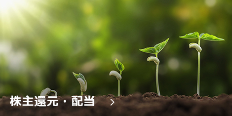 株主還元・配当