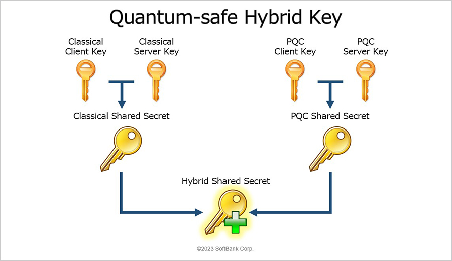 Hybrid Mode Image