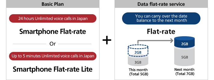Basic Plan Data flat-rate service