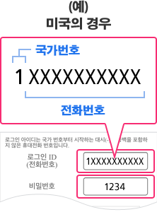 (예)미국의 경우