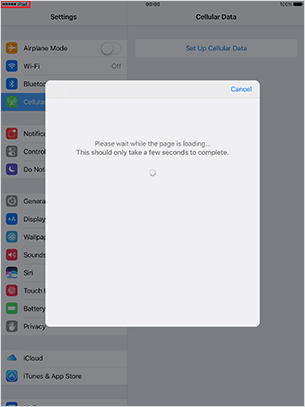 Check that "Cellular carrier" and "Network status" at Status bar has changed to “●●●●● iPad”
