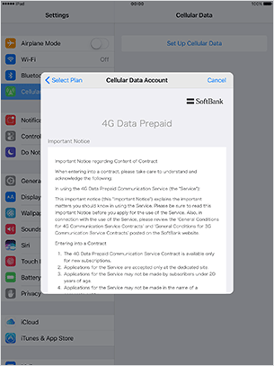 Confirm details of “Using 4G Data Prepaid (Important Notice) ”, if agree ,checkmark “Agree”, and tap “Next”