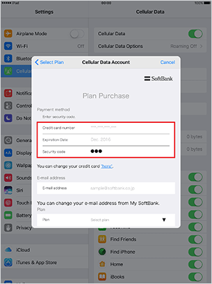 Enter credit card Security Code, select plan, and tap “Next”.
