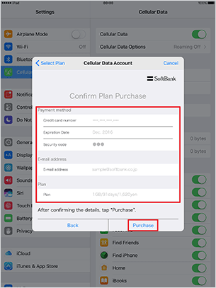 Check credit card number, e-mail address, and plan, and tap “Purchase”.