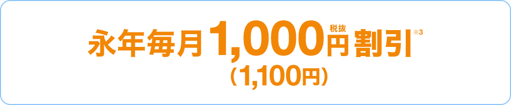 永年毎月1,000円税抜割引※3 （1,100円）