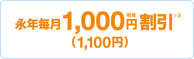 永年毎月1,000円税抜割引※3 （1,100円）
