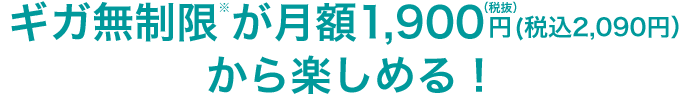 ギガ無制限※が月額1,900円(税抜)(税込2,090円)から楽しめる!