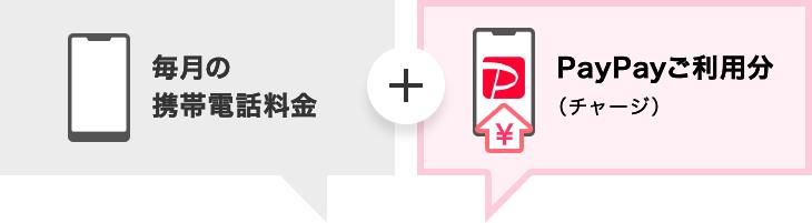 毎月の携帯電話料金 + PayPayご利用分（チャージ）