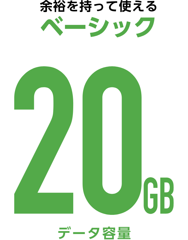 余裕を持って使えるベーシック20GBデータ容量
