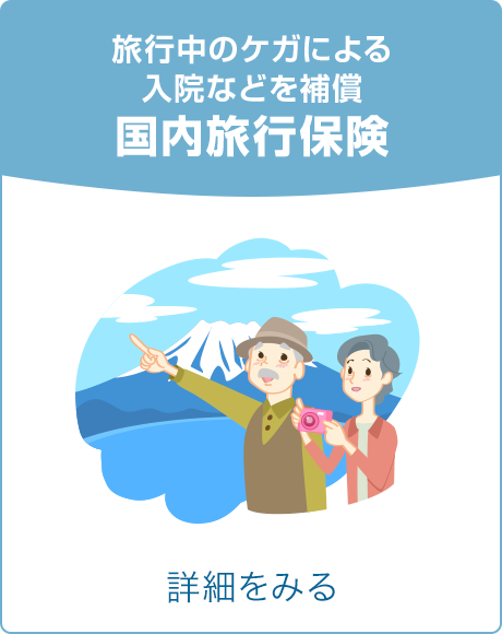 旅行中のケガによる入院などを補償 国内旅行保険 詳細をみる