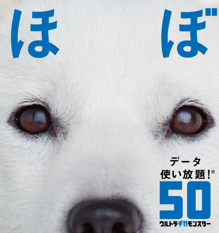 ほぼデータ使い放題！※50ギガ ウルトラギガモンスター