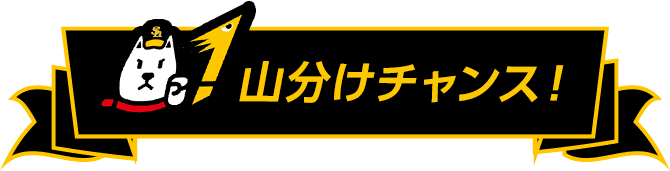 山分けチャンス!