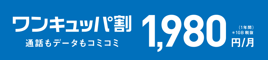 ワンキュッパ割 通話もデータもコミコミ 通常価格1,980円／月（1年間）*1GB 税抜